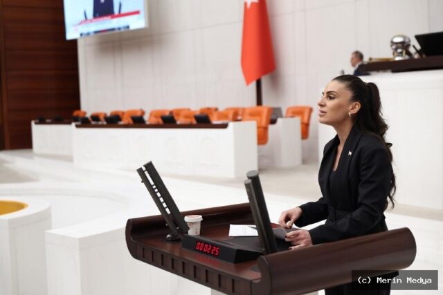 Fon Krizi Meclis Gündeminde: Gizem Özcan Açıklamalarda Bulundu